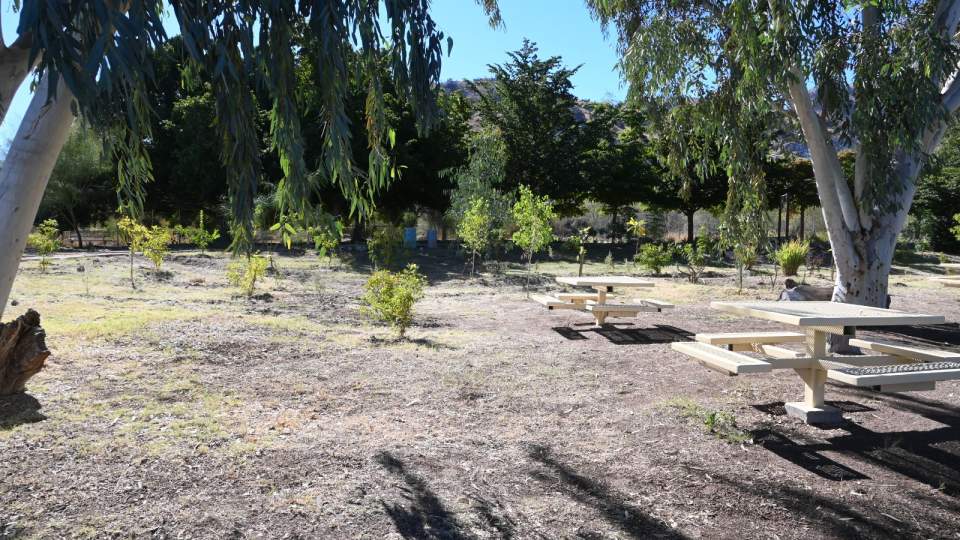 Se trabaja en la modernización de La Sauceda con una estrategia de preservación y conservación de la flora y fauna: SIDUR